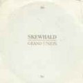 SKEWBALD:Grand Union / st (cd) Dischord