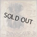 Dinosaur Jr. / Bug (cd) Merge Records