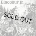 Dinosaur Jr. / Dinosaur (cd) Merge Records