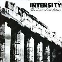 画像1: INTENSITY / The Ruins of Our Future (Lp) Deranged 