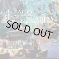 JAGO / the seabed (cd) Flying humanoid