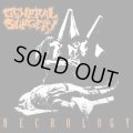 GENERAL SURGERY / Necrology (cd) Relapse