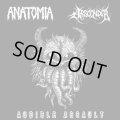 ANATOMIA, ABSCONDER / Audible Assault -Split cdep- (cd) Horror pain gore death productions