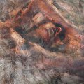 CONVERGE / Unloved and weeded out (cd)(Lp) Deathwish