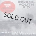 INSANE YOUTH A.D. / Drive into a do or die (cd) 男道
