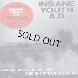 画像1: INSANE YOUTH A.D. / Drive into a do or die (cd) 男道