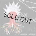 V.A / RIOT CONNECTION (cd)
