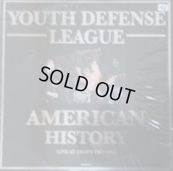 画像1: YOUTH DEFENSE LEAGUE / American History (Lp)
