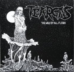 画像1: TEARGAS / The Way of All Flesh  (12") Narm discos