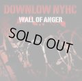 DOWNLOW NYHC / Wall of anger (cd) United riot