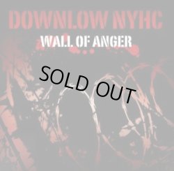 画像1: DOWNLOW NYHC / Wall of anger (cd) United riot