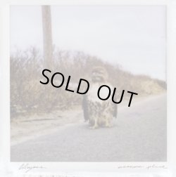 画像1: LIBYANS / A Common place (Lp) Sorry state