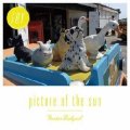 FRONTIER BACKYARD / Picture of the sun (7ep) Niw! 