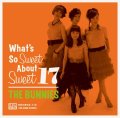 THE BUNNIES / What's so sweet about sweet 17 (cd) Time bomb 