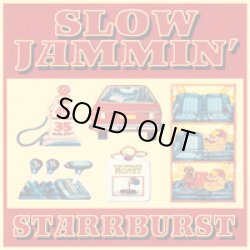 画像1: STARRBURST / Slow jammin' (cdr) 