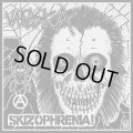 SKIZOPHRENIA, VAASKA / split (7ep) 540/Todo destruido