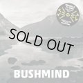 BUSHMIND / 2013 Dtw mix (cdr) Himcast/Dcr