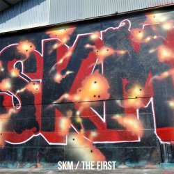 画像1: SKM / The first (cd) One family