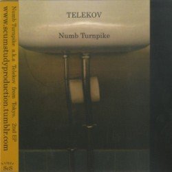 画像1: Numb Turnpike a.k.a Telekov / st (cd) Scum study production