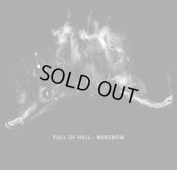 画像1: FULL OF HELL / Full of hell & merzbow (2cd) Daymare 