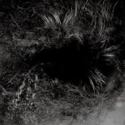 画像1: CORRUPTED / 喪失:Loss (7ep) Crust war 