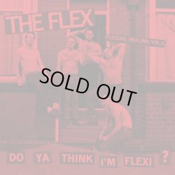 画像1: THE FLEX / Flexual healing vol.5: Do ya think I'm flexi? (flexi) Bleeding edges 