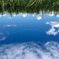 Gofish / よかんのじかん (cd) Sweet dreams press 