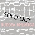 RUIDOSA INMUNDICIA / Discografia 2004-2010 (cd) Fade-in international