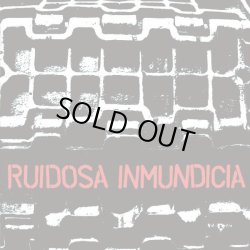 画像1: RUIDOSA INMUNDICIA / Discografia 2004-2010 (cd) Fade-in international