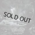 WORSHIP / Terranean Wake (cd) Weired truth