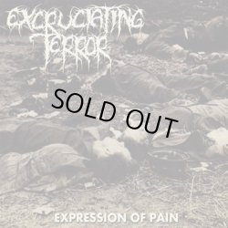 画像1: EXCRUCIATING TERROR / Expression of pain (cd) Blastasfuk