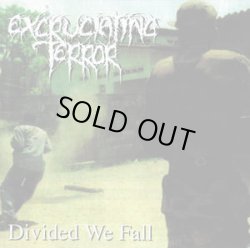 画像1: EXCRUCIATING TERROR / Divided we fall (cd) Blastasfuk