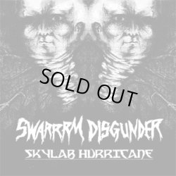 画像1: DISGUNDER, SWARRRM / split -Skylab hurricane- (7ep) Break the record 