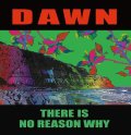 DAWN / There is no reason why (10") Debauch mood
