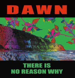 画像1: DAWN / There is no reason why (10") Debauch mood