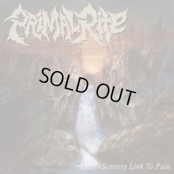 画像1: PRIMAL RITE / Sensory link to pain (7ep) Revelation 