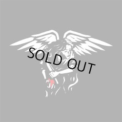 画像1: AMERICAN NIGHTMARE / st -2018- (cd)(Lp) Rise   