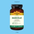 K-FLASH / Earsupplemental [Magnechillm] (cd) Listenup  