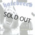 HATEBREED / Under the knife (7ep) Smorgasbord 