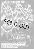 DAMAGE INC. / Nr 1. 2017 (zine)  