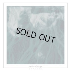 画像1: assembrage, SWARRRM / split (7ep) Break the records 