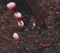 BRIDGE TO SOLACE / Kingdom of the dead (cd) Let it burn 