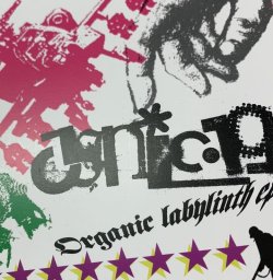 画像1: CYNIC-19 / Organic Labylinth (cd) Label carnival light  