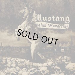 画像1: MUSTANG / Mind wandering (Lp) Break the records