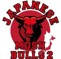画像1: V.A / Japanese mosh bulls 2 (cd) 半田商会