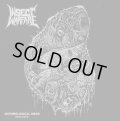 INSECT WARFARE / Entomological siege 2004/2009 (3Lp+dvd box)(2cd+dvd box) F.o.a.d. 