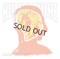 画像1: NUMBERNINE / Livin’groove (cd) Furious