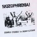 SKIZOPHRENIA! / Single ticket to demo-lition (Lp)  Todo destruido