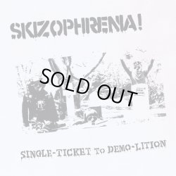 画像1: SKIZOPHRENIA! / Single ticket to demo-lition (Lp)  Todo destruido