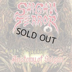 画像1: SAIGAN TERROR / Anatomy of saiagn (Lp) Triple-B